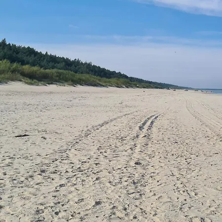 Goscinne Javka W Jantarze *