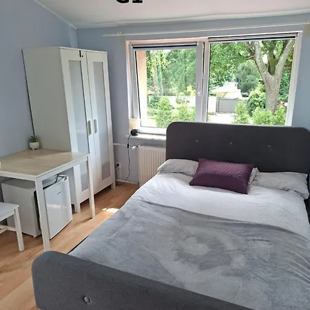 Goscinne Javka W Jantarze *