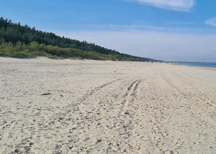 Goscinne Javka W Jantarze *