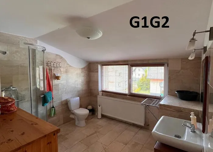 Goscinne Javka W Jantarze * Янтар