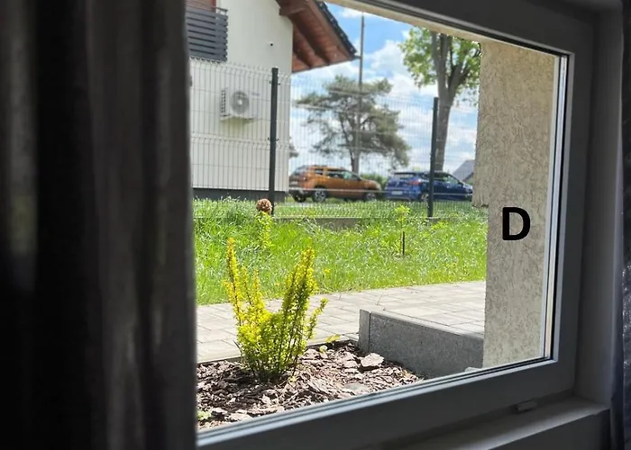 Goscinne Javka W Jantarze